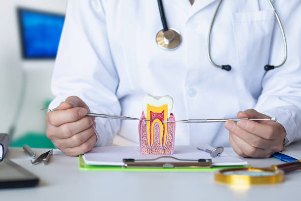 Best Emergency Root Canal Treatment in Deadwood, SD